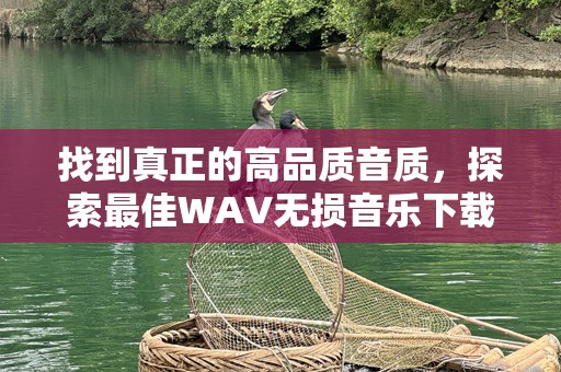 找到真正的高品质音质，探索最佳WAV无损音乐下载网站