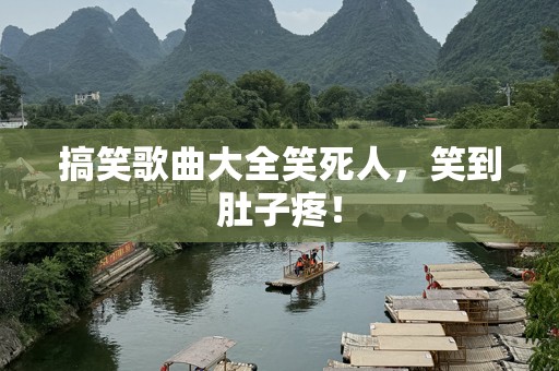 搞笑歌曲大全笑死人，笑到肚子疼！