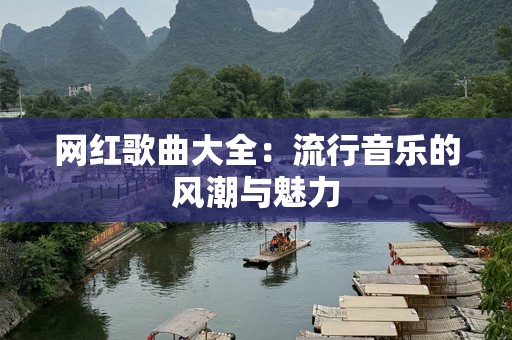 网红歌曲大全：流行音乐的风潮与魅力
