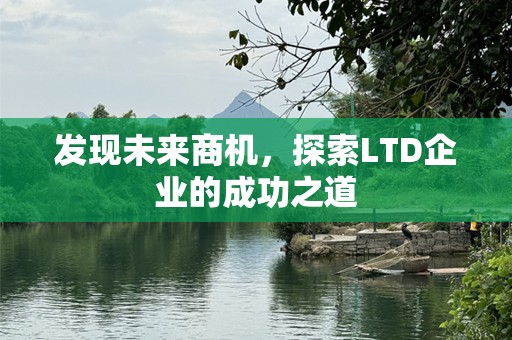 发现未来商机，探索LTD企业的成功之道