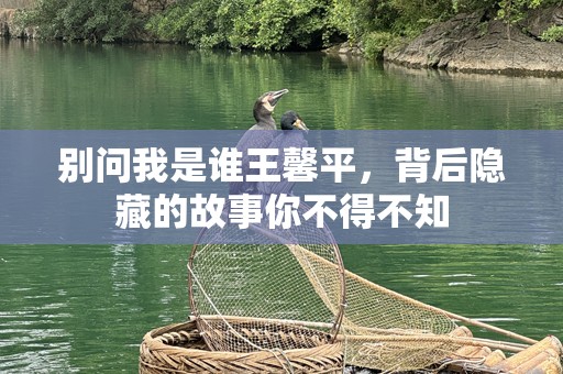 别问我是谁王馨平，背后隐藏的故事你不得不知