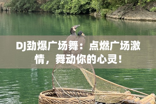 DJ劲爆广场舞：点燃广场激情，舞动你的心灵！