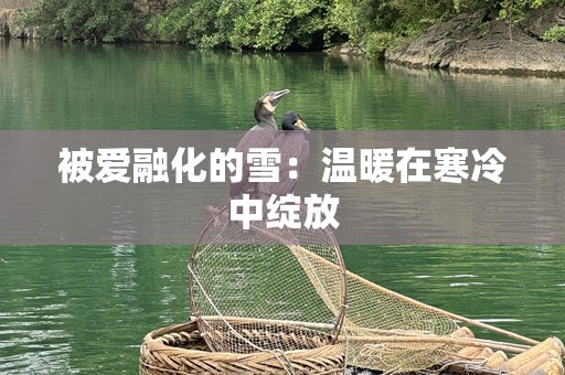 被爱融化的雪：温暖在寒冷中绽放
