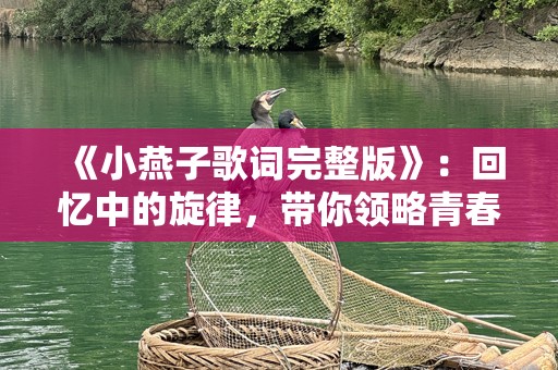 《小燕子歌词完整版》：回忆中的旋律，带你领略青春的心动与感动