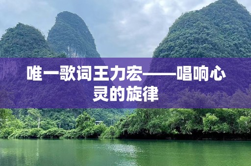 唯一歌词王力宏——唱响心灵的旋律