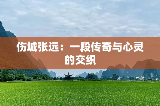 伤城张远：一段传奇与心灵的交织