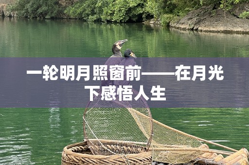 一轮明月照窗前——在月光下感悟人生