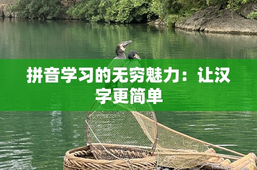 拼音学习的无穷魅力：让汉字更简单