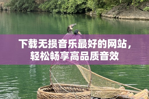 下载无损音乐最好的网站，轻松畅享高品质音效