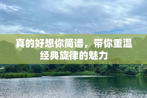真的好想你简谱，带你重温经典旋律的魅力