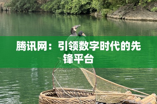 腾讯网：引领数字时代的先锋平台