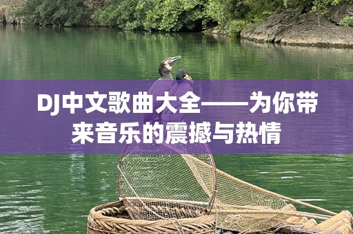DJ中文歌曲大全——为你带来音乐的震撼与热情