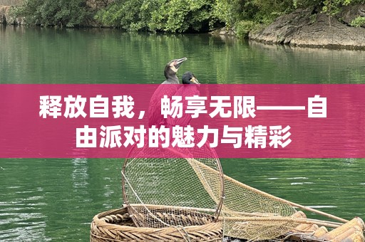 释放自我，畅享无限——自由派对的魅力与精彩