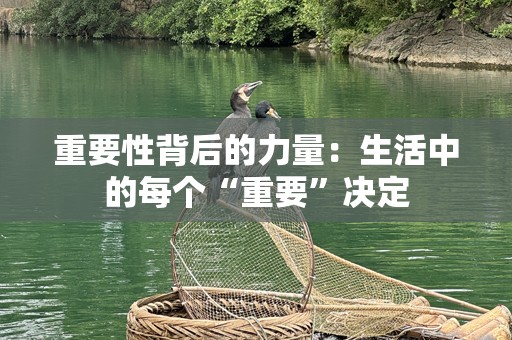 重要性背后的力量：生活中的每个“重要”决定