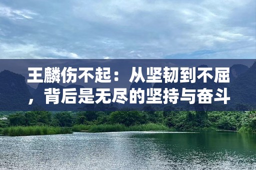 王麟伤不起：从坚韧到不屈，背后是无尽的坚持与奋斗