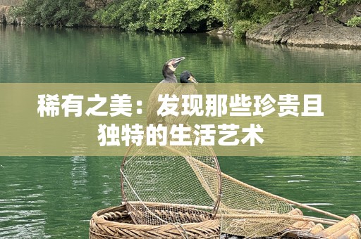稀有之美：发现那些珍贵且独特的生活艺术