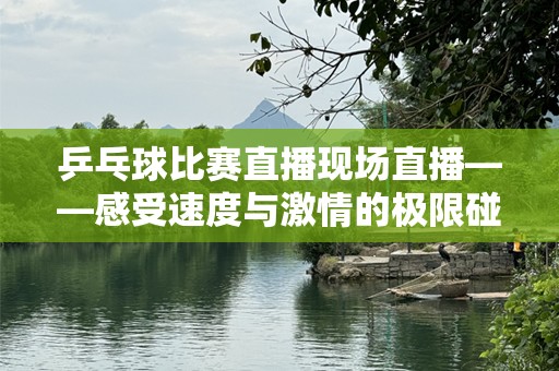 乒乓球比赛直播现场直播——感受速度与***的极限碰撞