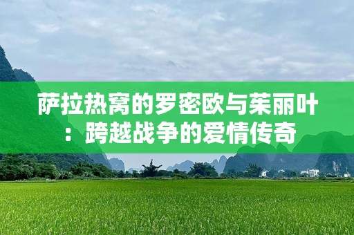 萨拉热窝的罗密欧与茱丽叶：跨越战争的爱情传奇