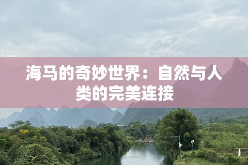 海马的奇妙世界：自然与人类的完美连接