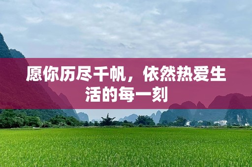 愿你历尽千帆，依然热爱生活的每一刻