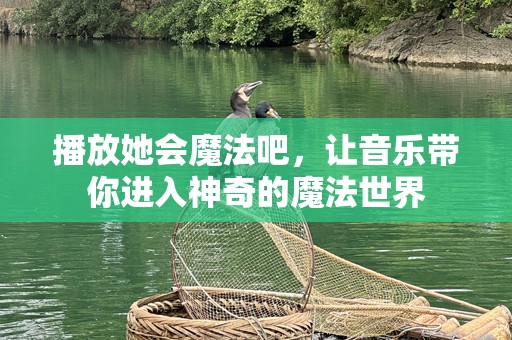 播放她会魔法吧，让音乐带你进入神奇的魔法世界