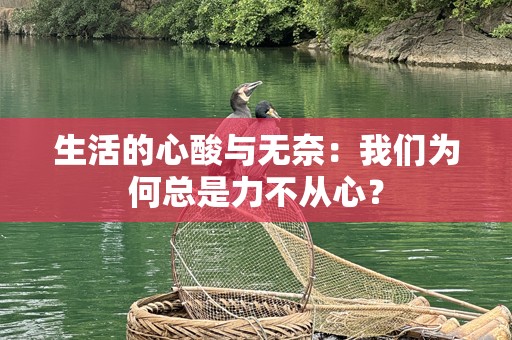生活的心酸与无奈：我们为何总是力不从心？
