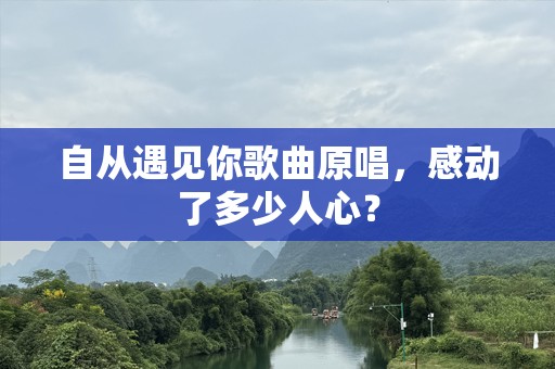 自从遇见你歌曲原唱，感动了多少人心？
