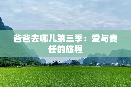 爸爸去哪儿第三季：爱与责任的旅程