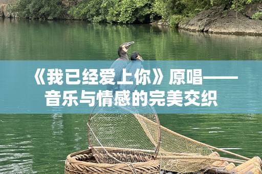 《我已经爱上你》原唱——音乐与情感的完美交织