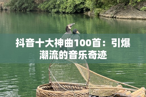 抖音十大神曲100首：引爆潮流的音乐奇迹