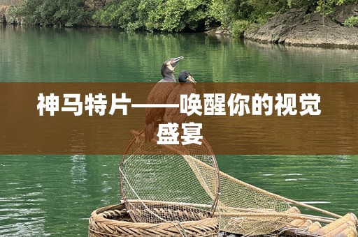 神马特片——唤醒你的视觉盛宴