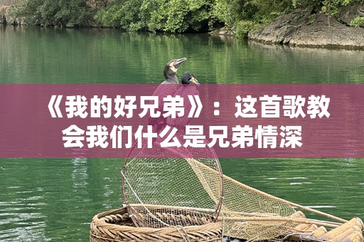 《我的好兄弟》：这首歌教会我们什么是兄弟情深