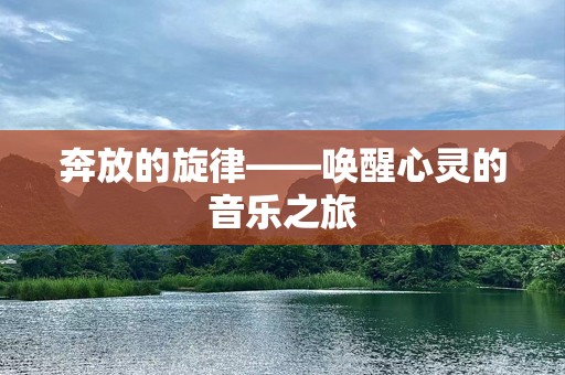 奔放的旋律——唤醒心灵的音乐之旅