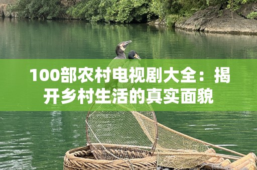 100部农村电视剧大全：揭开乡村生活的真实面貌