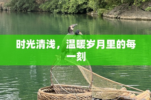 时光清浅，温暖岁月里的每一刻