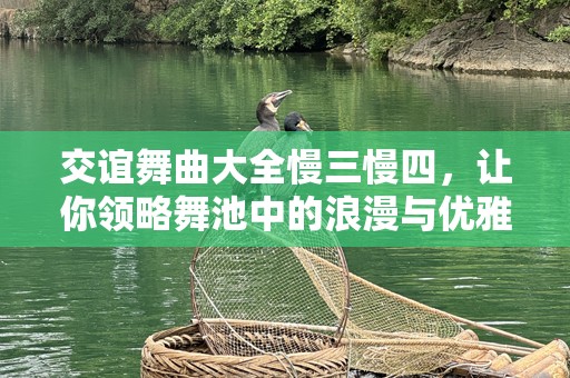 交谊舞曲大全慢三慢四，让你领略舞池中的浪漫与优雅