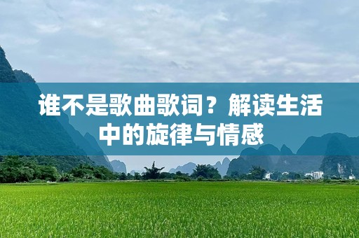 谁不是歌曲歌词？解读生活中的旋律与情感