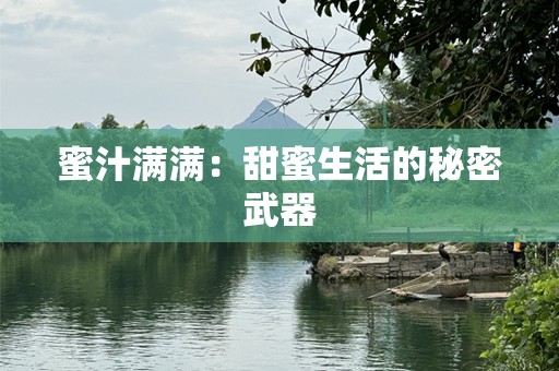蜜汁满满：甜蜜生活的秘密武器