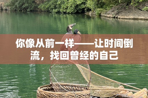你像从前一样——让时间倒流，找回曾经的自己