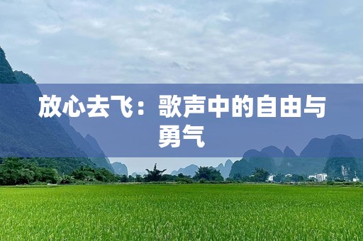 放心去飞：歌声中的自由与勇气