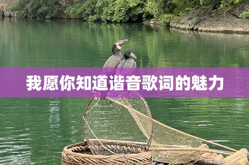 我愿你知道谐音歌词的魅力