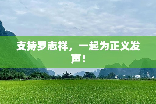 支持罗志祥，一起为正义发声！