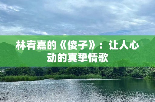 林宥嘉的《傻子》：让人心动的真挚情歌