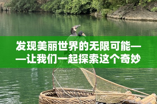 发现美丽世界的无限可能——让我们一起探索这个奇妙的世界
