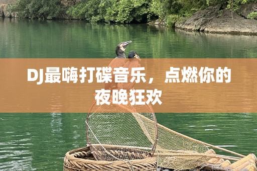 DJ最嗨打碟音乐，点燃你的夜晚狂欢