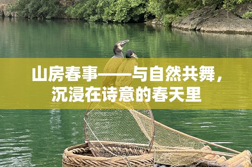 山房春事——与自然共舞，沉浸在诗意的春天里