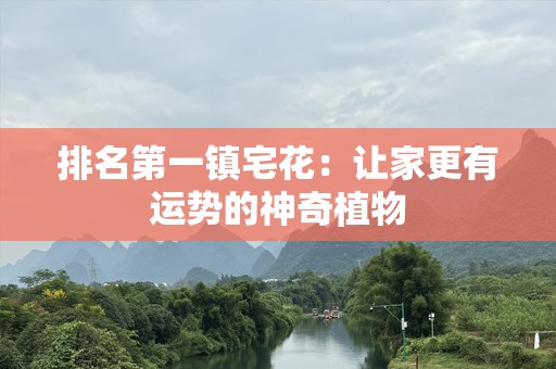 排名第一镇宅花：让家更有运势的神奇植物