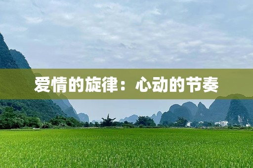 爱情的旋律：心动的节奏