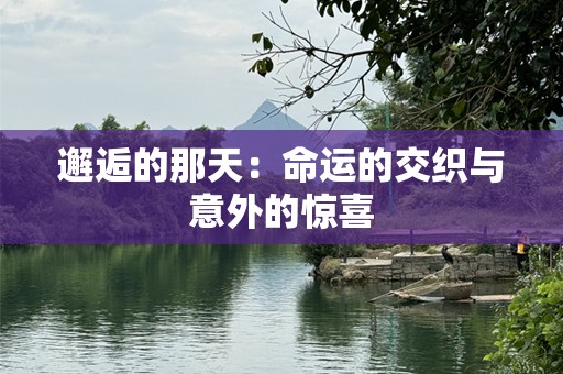 邂逅的那天：命运的交织与意外的惊喜