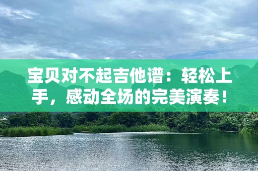 宝贝对不起吉他谱：轻松上手，感动全场的完美演奏！